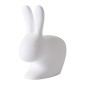 Chaise Rabbit